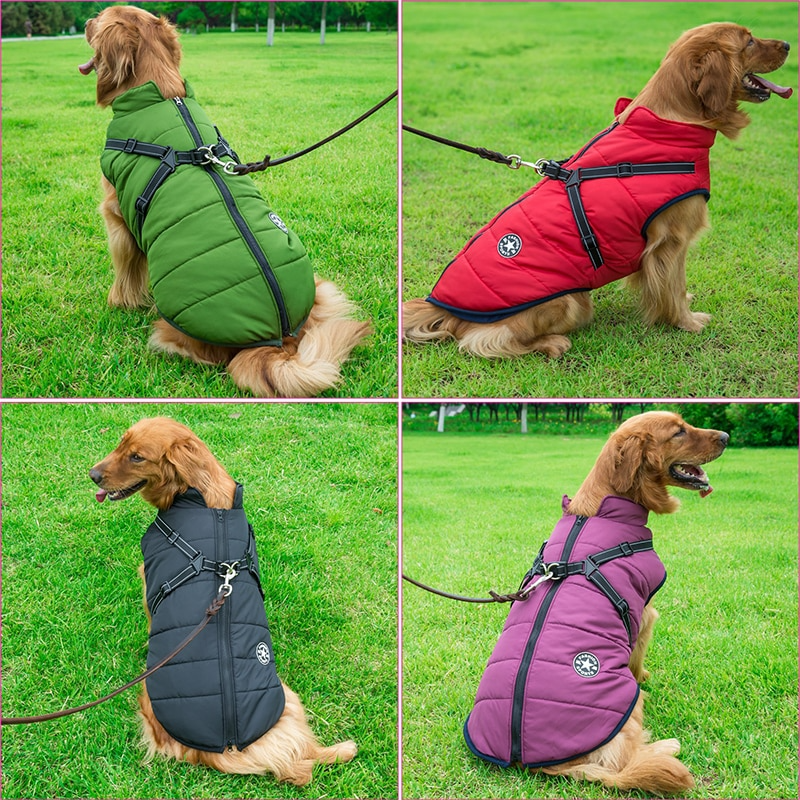 Allwetter-Hundejacke - wasserdicht, verstellbar_testsieger hunde