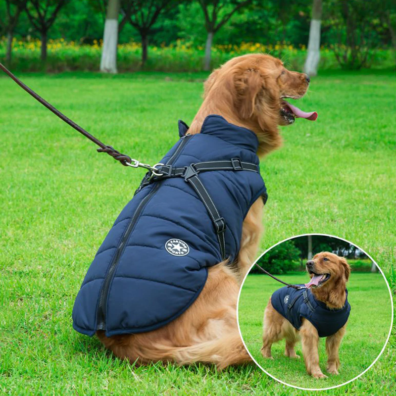 Allwetter-Hundejacke - wasserdicht, verstellbar_blau
