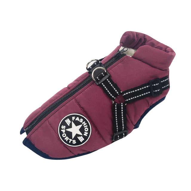 Allwetter-Hundejacke - wasserdicht, verstellbar_lila 5
