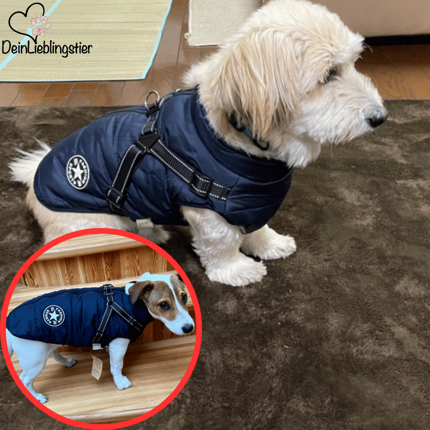 Allwetter-Hundejacke - wasserdicht, verstellbar_blau_testsieger