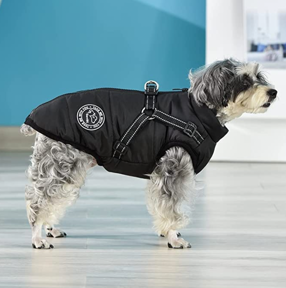 Allwetter-Hundejacke - wasserdicht, verstellbar_schwarz 2 test