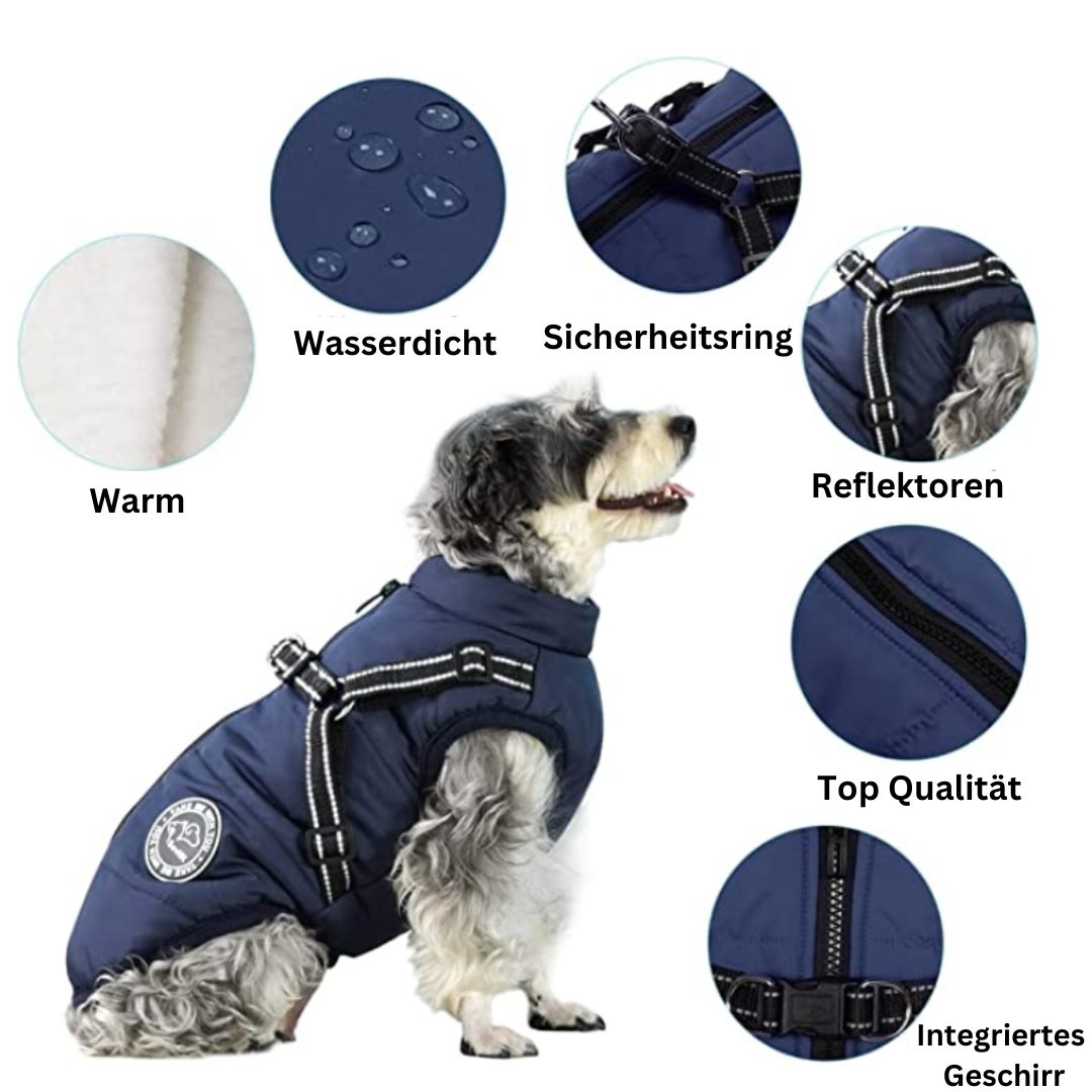 Allwetter-Hundejacke - wasserdicht, verstellbar_Vorteile_blau
