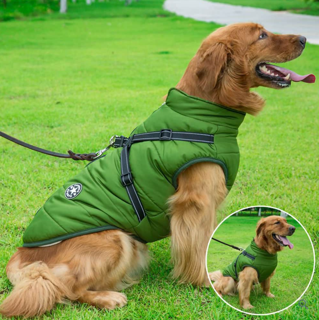 Allwetter-Hundejacke - wasserdicht, verstellbar_grün