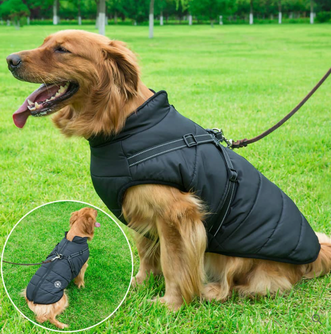 Allwetter-Hundejacke - wasserdicht, verstellbar_schwarz