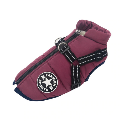 Allwetter-Hundejacke - wasserdicht, verstellbar_lila 5