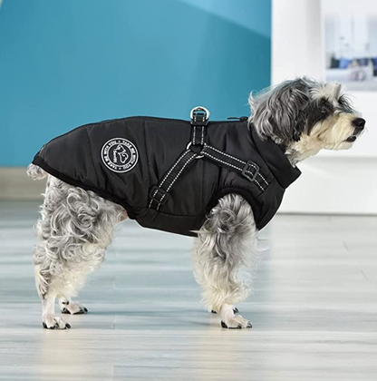 Allwetter-Hundejacke - wasserdicht, verstellbar_schwarz 2 test