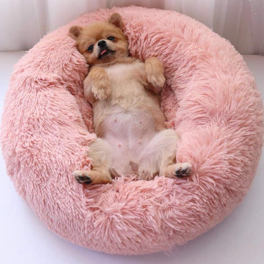 Hundebett pink testsieger 