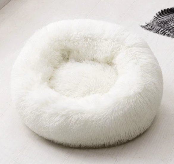 Hundebett weiß testsieger