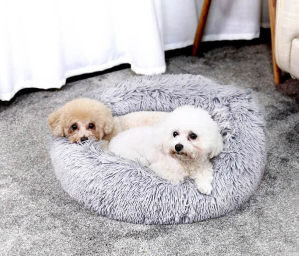 Hundebett grau testsieger